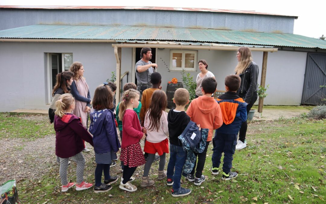 Faire découvrir l’alimentation locale et durable aux enfants