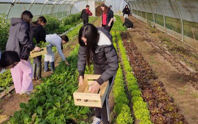 [3EME] – CONSOMMER LOCAL – DÉCOUVERTE DES JARDINS DU PUYRAJOU