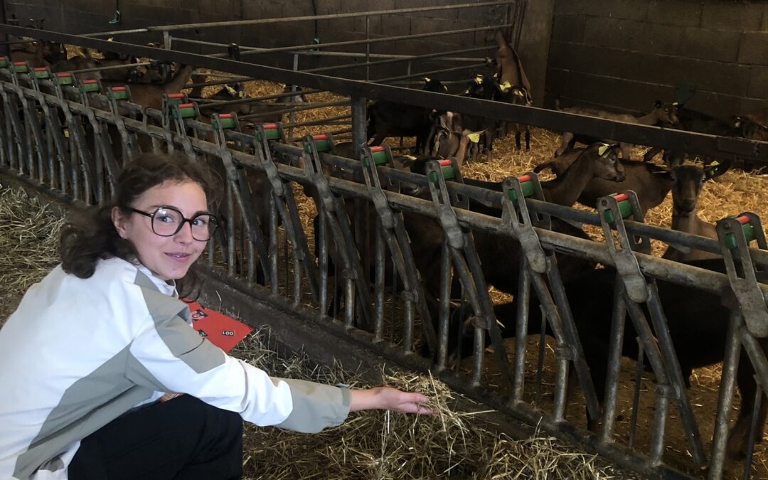 [4EME] VISITE D UNE EXPLOITATION AGRICOLE