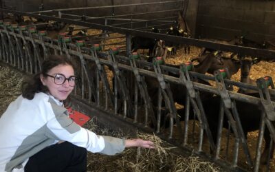 [4EME] VISITE D UNE EXPLOITATION AGRICOLE