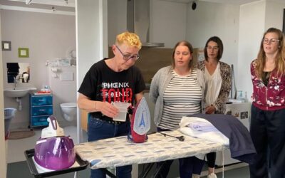 [ADVF] ENTRETIEN DU CADRE DE VIE ET DU LINGE