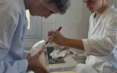 [3EME] TECHNIQUES CULINAIRES
