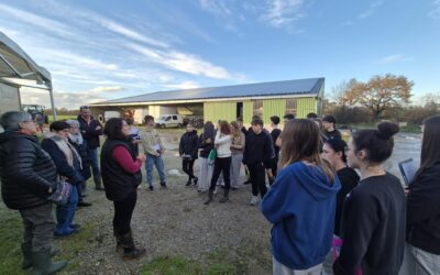 [3EME A ET B] VISITE AU GAEC DES LIMONS