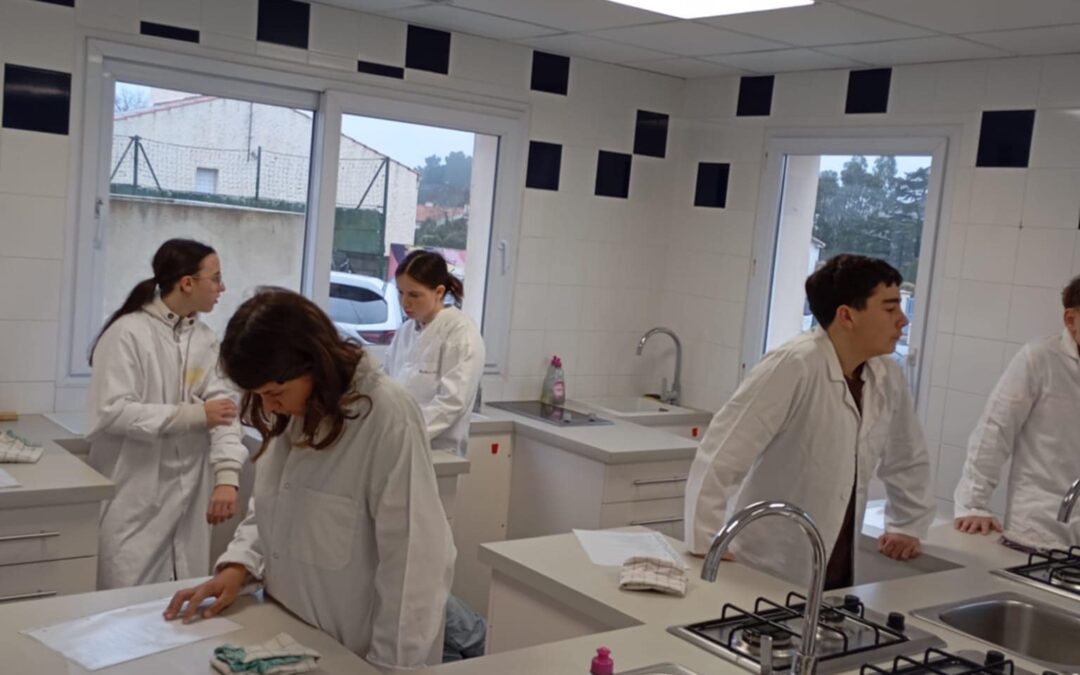 [4EME] TECHNIQUE CULINAIRE