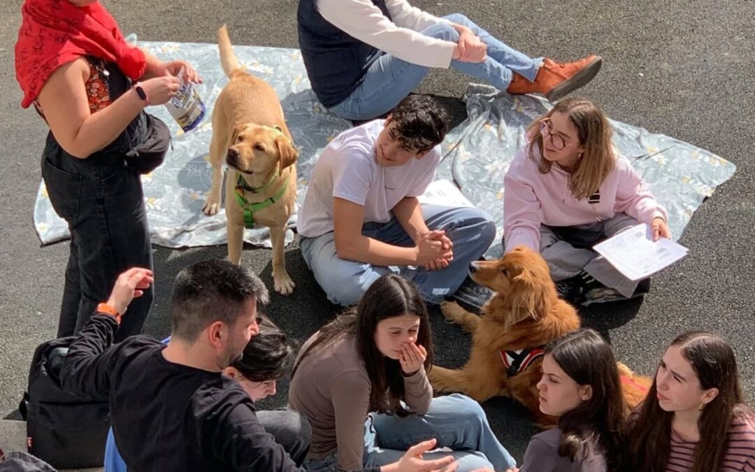 [3EME] ATELIER 100% MOI – MEDIATION ANIMALE