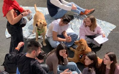 [3EME] ATELIER 100% MOI – MEDIATION ANIMALE