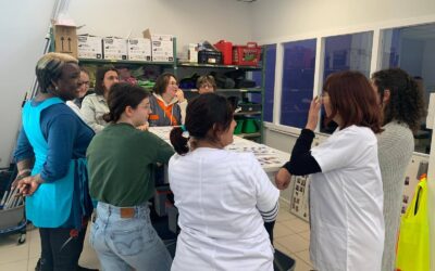 [ADVF] VISITE A L ESAT