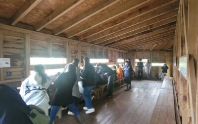 [3EME] LA CITE DES OISEAUX