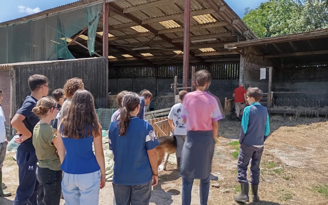 [4EME] VISITE DE LA FERME DU CAP VERT